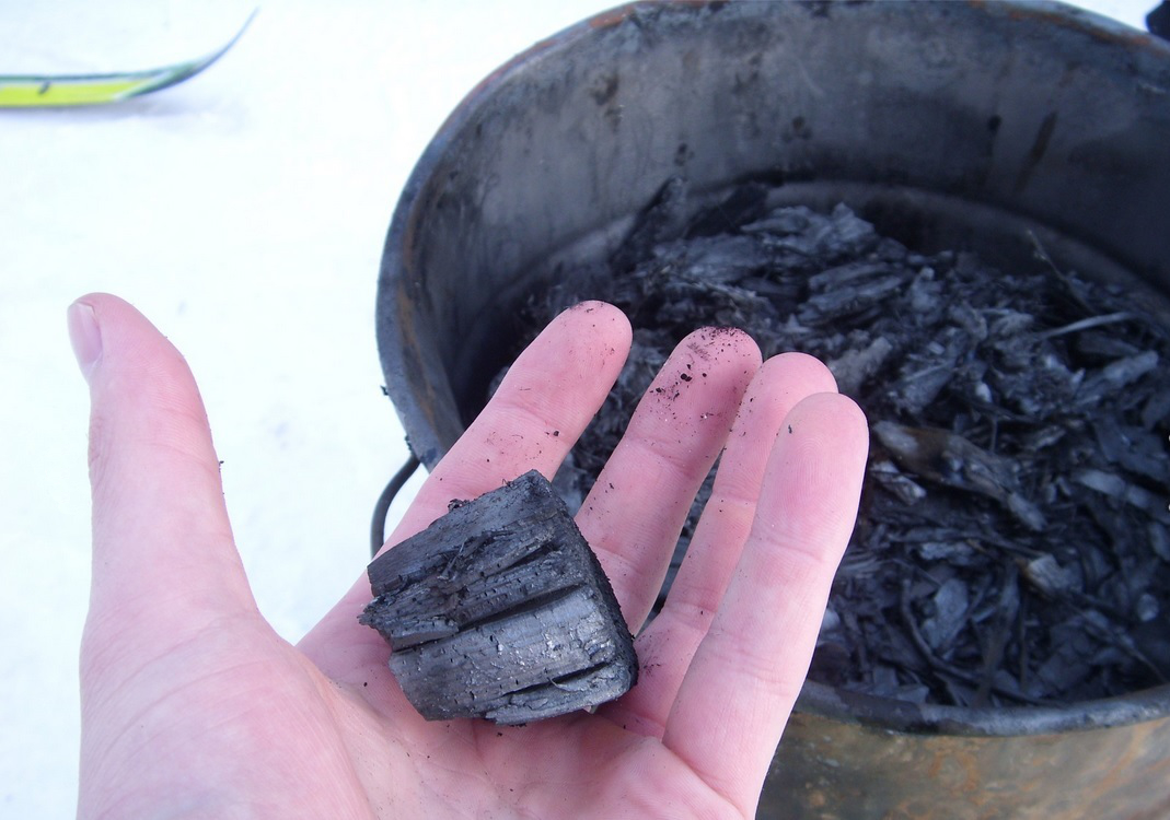 A piece of biochar