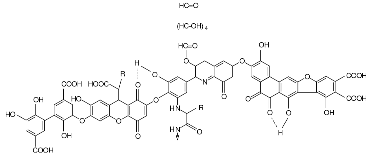 Humic acid model